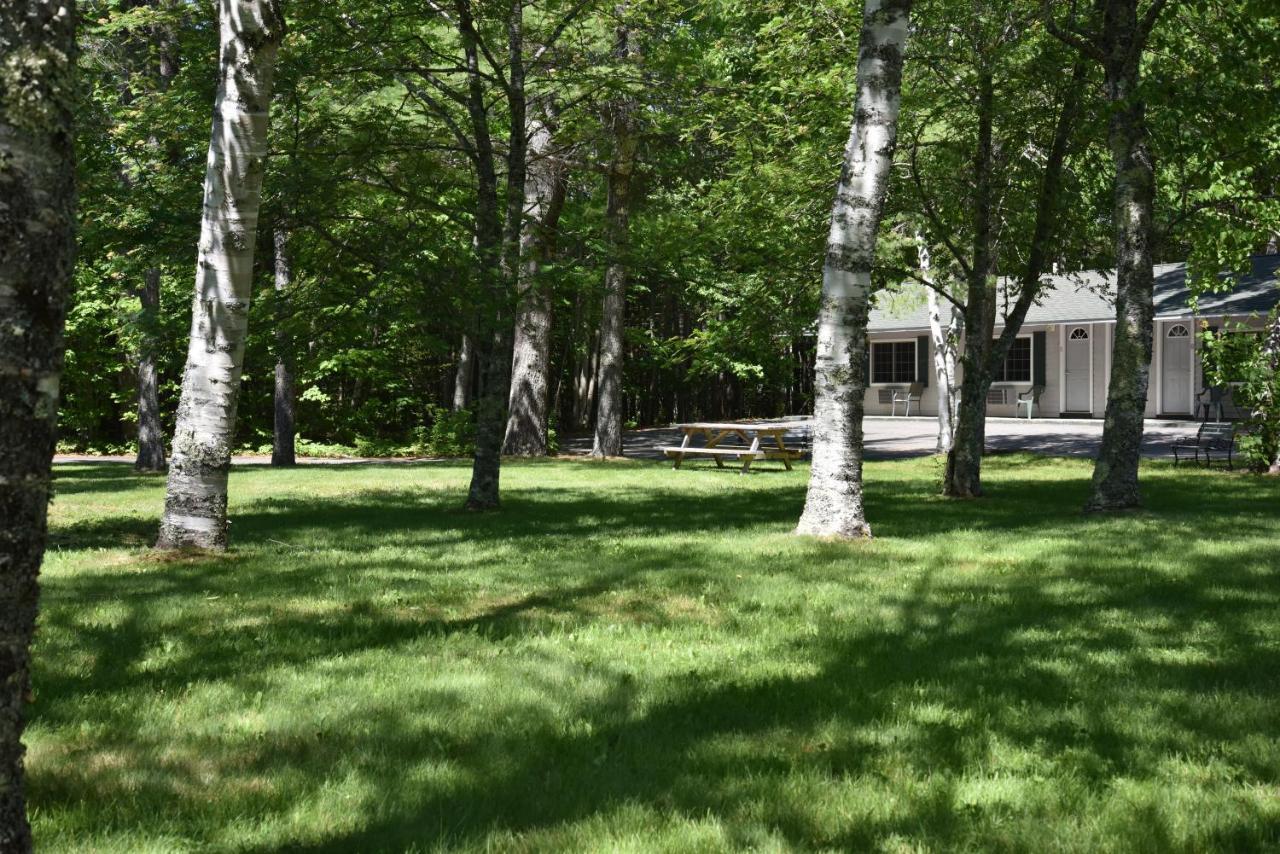 Acadia Pines Motel Bar Harbor Exterior photo